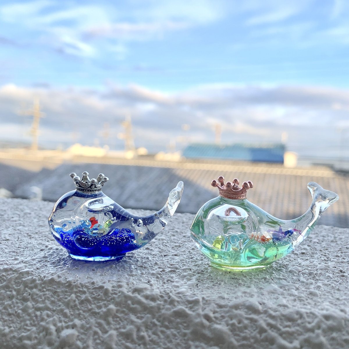 潤う手乗りクジラ〜海に潜む彩られたスノードームの世界II〜 | irohaya.