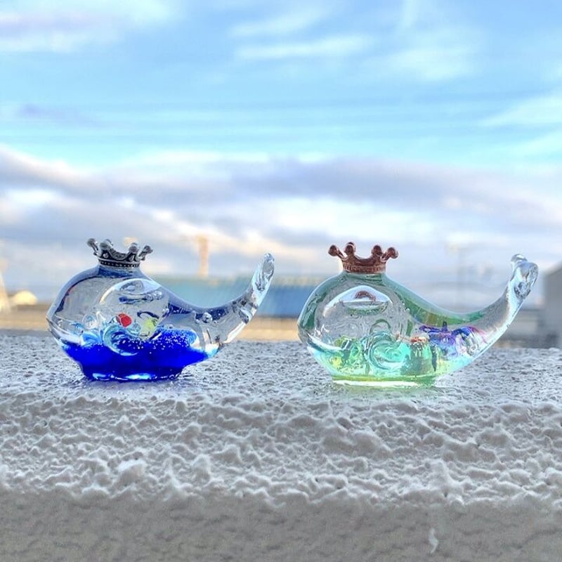 潤う手乗りクジラ〜海に潜む彩られたスノードームの世界II〜 | irohaya.