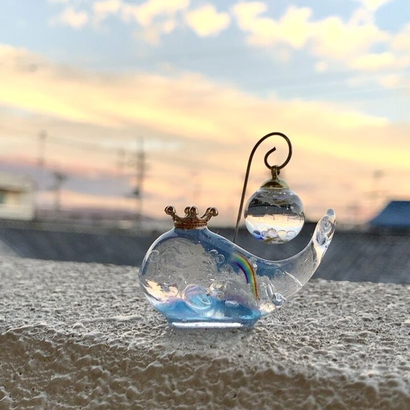 潤う手乗りクジラ〜虹の妖精と贈り物のスノードーム〜 | irohaya.