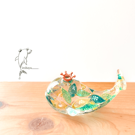 CATEGORY 手乗りクジラ | irohaya.
