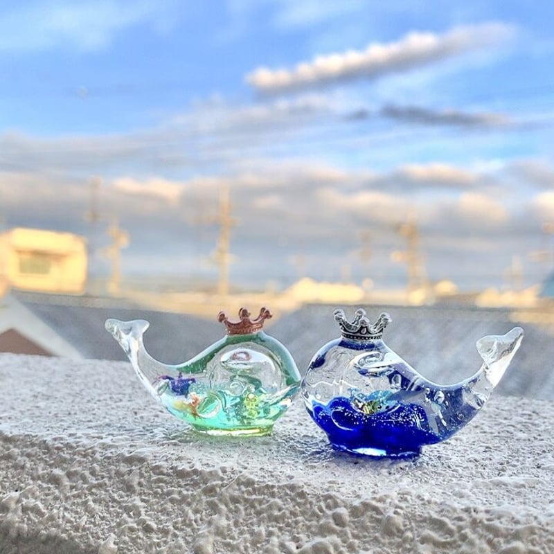 潤う手乗りクジラ〜海に潜む彩られたスノードームの世界II〜 | irohaya.