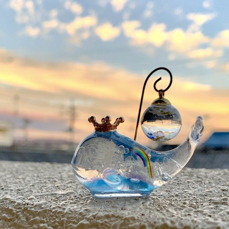 潤う手乗りクジラ〜虹の妖精と贈り物のスノードーム〜 | irohaya.