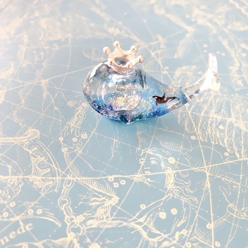 □I様セミオーダー□潤う手乗りクジラ〜星の海を泳ぐシャチ スノー