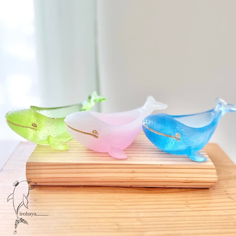 クジラのカラフル小物入れ | irohaya.