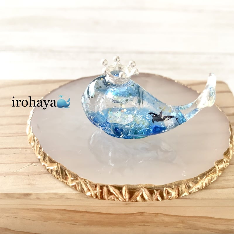 □I様セミオーダー□潤う手乗りクジラ〜星の海を泳ぐシャチ スノー