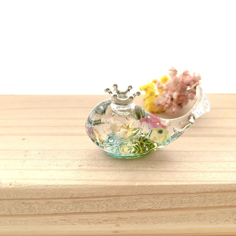 潤う手乗りクジラ〜海に潜む彩られたスノードームの世界