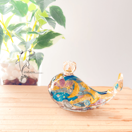 CATEGORY 手乗りクジラ | irohaya.