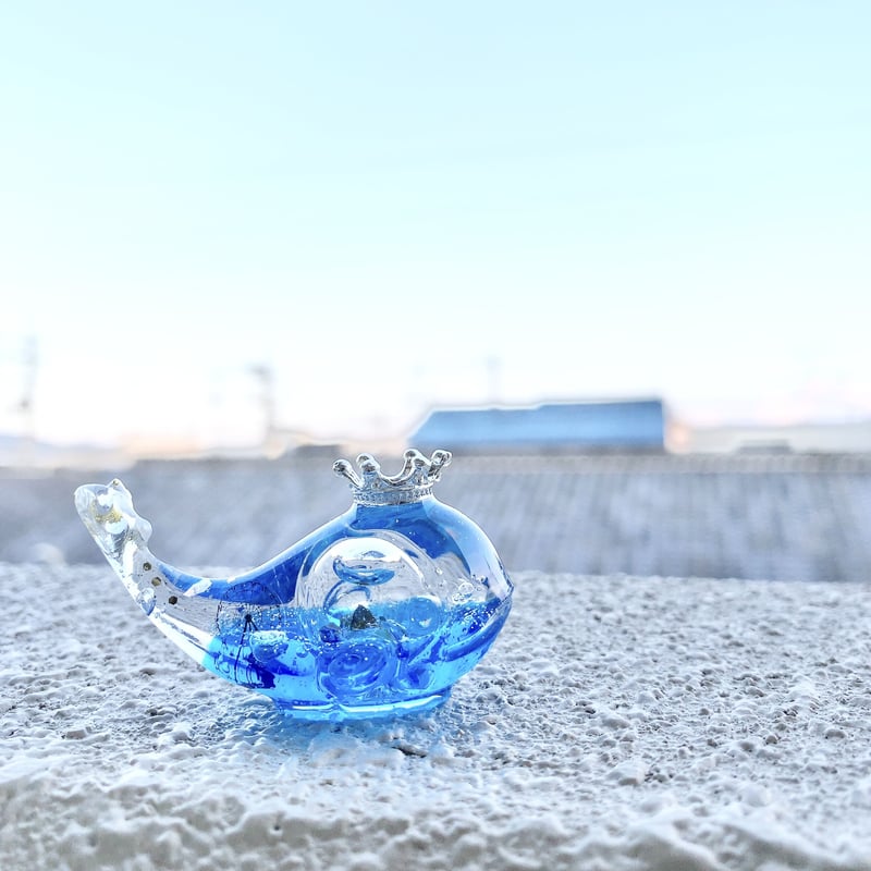 潤う手乗りクジラ〜海に立つ観覧車・ブルースノードーム〜 | irohaya.