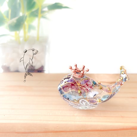 CATEGORY 手乗りクジラ | irohaya.