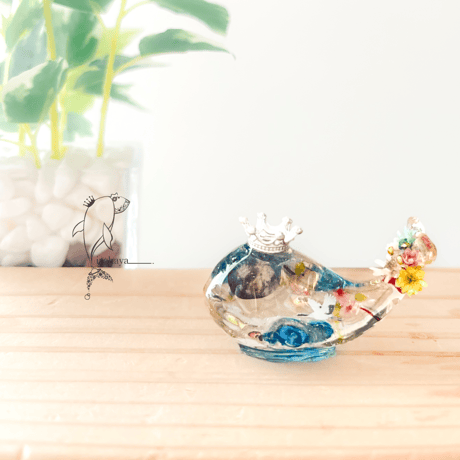 CATEGORY 手乗りクジラ | irohaya.