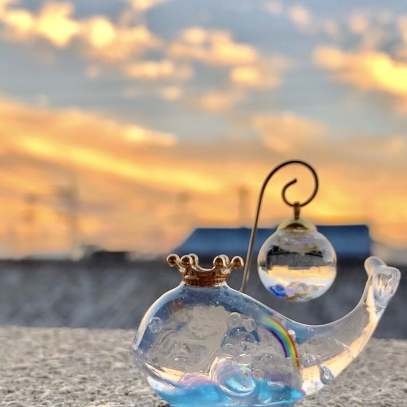 潤う手乗りクジラ〜虹の妖精と贈り物のスノードーム〜 | irohaya.