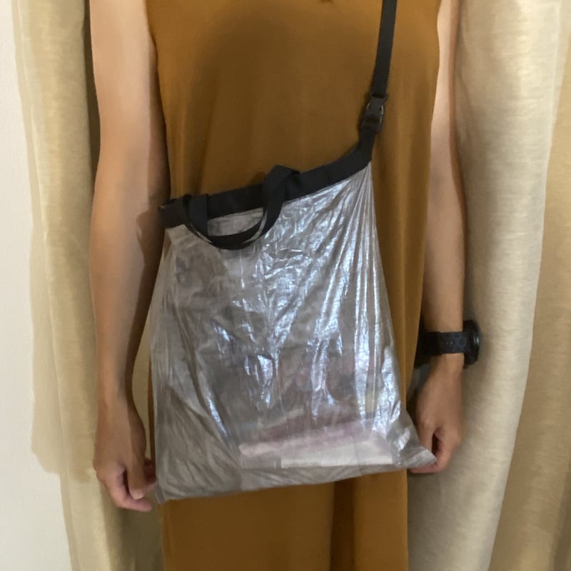 H and m clear discount bag