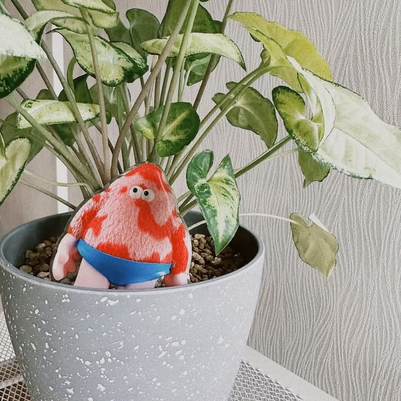 人気】Yummy. モバイルポップソケット | The MARKET CASE