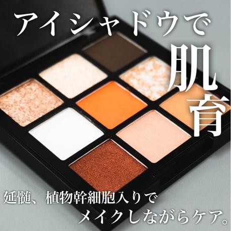 ルヴィアイシャドウ9COLORS