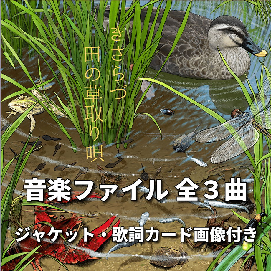 60eb133859a26c6b72e9cc1c