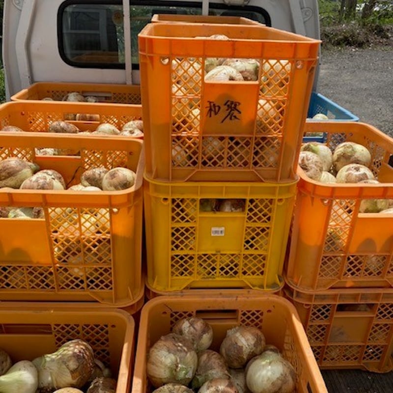 和饗クラフトドレッシングセット | WAKYO ECOFARM オンラインショップ