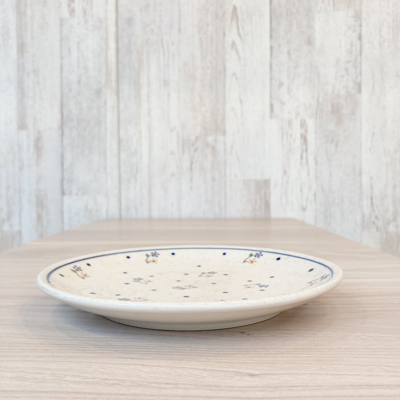 平皿19.5cm Z814‐D111 ザクワディ社 | lilia