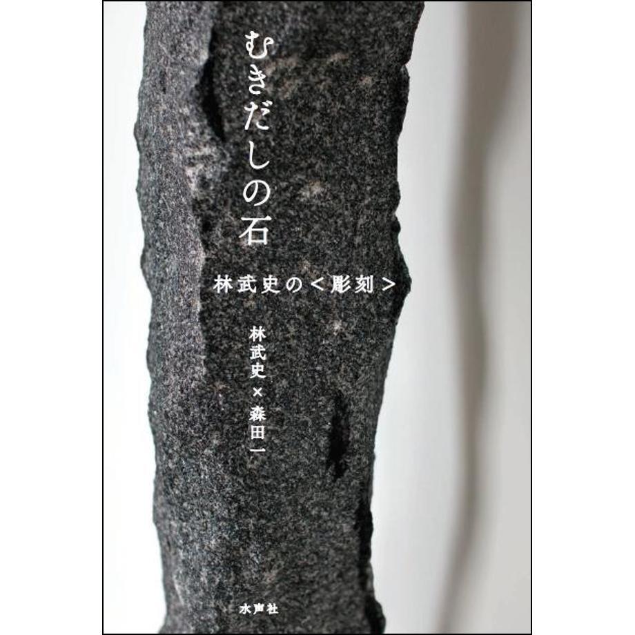 G*o様 武芸川石 寂蓮法師 紋様石　鑑賞石 水石 　文化財級　小林宗閑箱書き むきだしの石 林武史の〈彫刻〉 | 水声社 Web Store