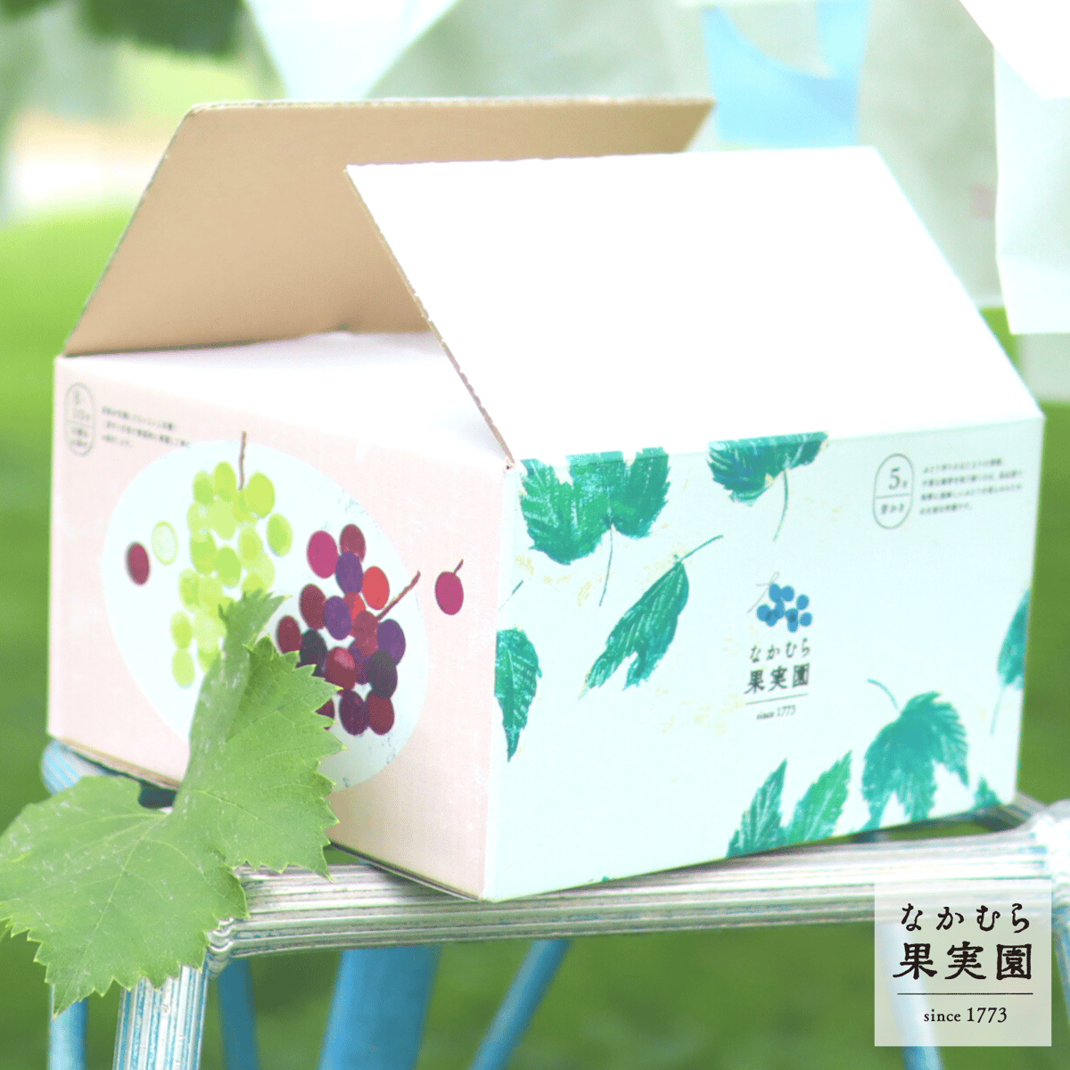 シャインマスカット】1房プレミアム(約450g) | なかむら果実園