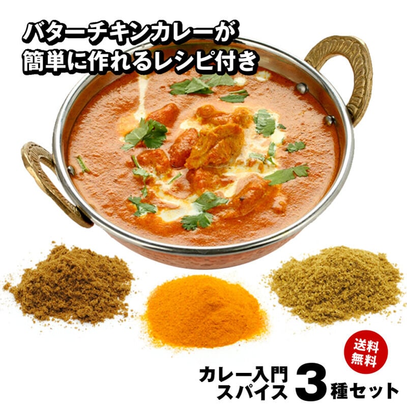 カレー 入門 スパイス 3種 セット【送料無料】 レシピ付 チャック付袋
