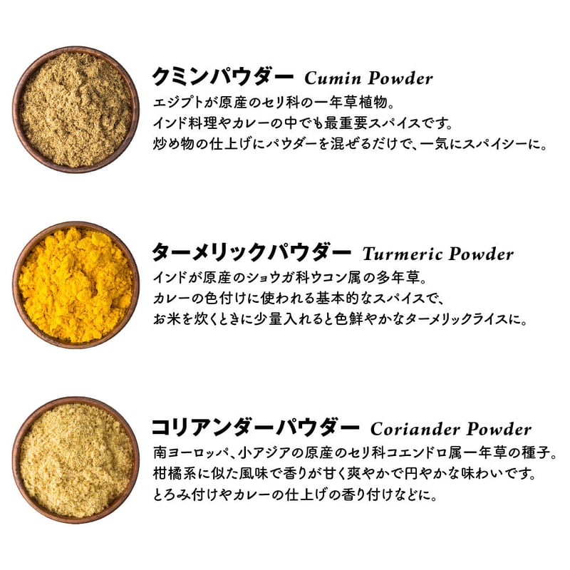 カレー 入門 スパイス 3種 セット【送料無料】 レシピ付 チャック付袋