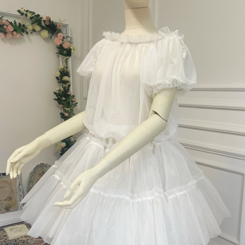 未使用fete シースルートップス See-through tops シースルートップス ☆決済から1週間前後に