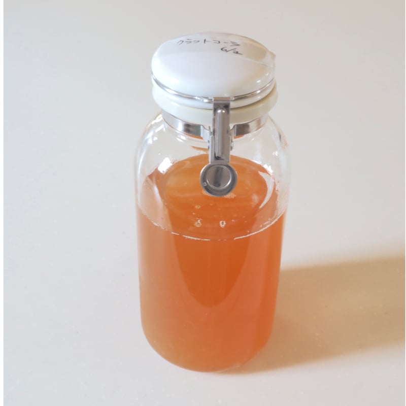 Cellarmate ワンプッシュ便利びん 500ml | Room