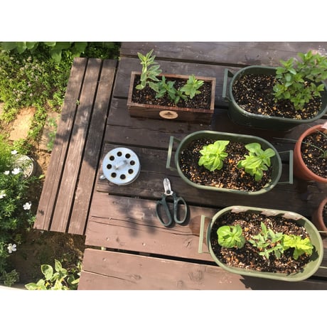 フィンランドの蚊取り線香入れ