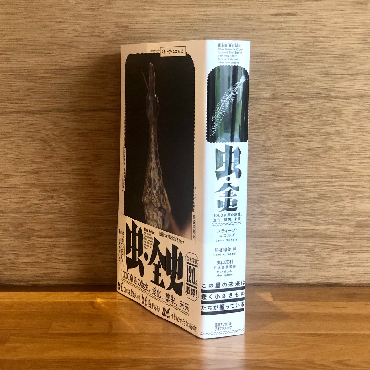 虫・全史 1000京匹の誕生、進化、繁栄、未来 | 新刊書店『本と 虫・全史 1000京匹の誕生、進化、繁栄、未来 | 新刊書店『本と