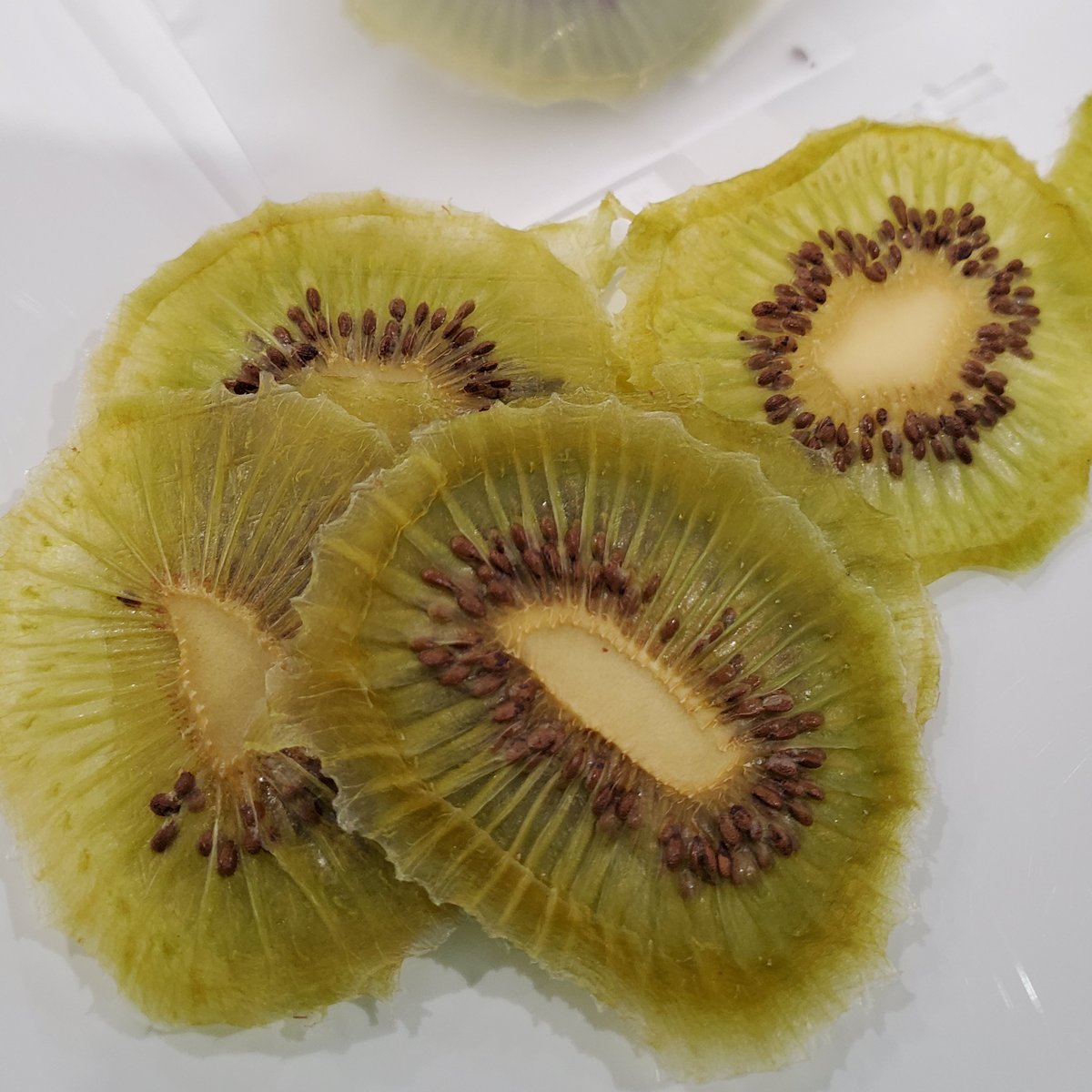 ドライキウイ（外国産） 【乾燥果物・ドライフルーツ】 15g | cocolo