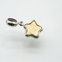 メテオライト星型ペンダントトップ