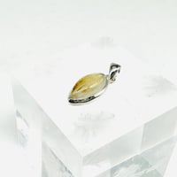 ゴールデンルチル