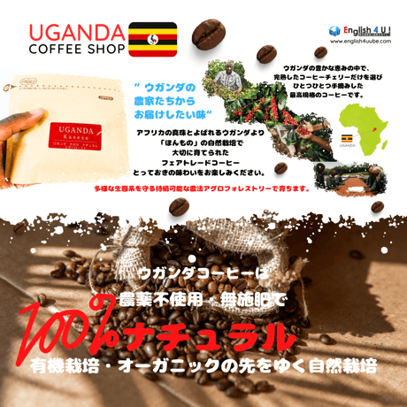 まとめ購入：「100g×10袋」深煎コーヒー 　ウガンダ　カセセ　ナチュラルビターロースト