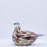 iittala Birds by Toikka Tylli/Ringedplover(1999