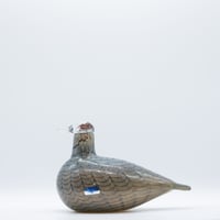  - イッタラ バード Pigeon Pulu oiva toikka  Prototype bird Oiva Toikka design glass Finland - Pigeon