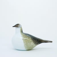 iittala Birds by Toikka Tylli/Ringedplover(1999