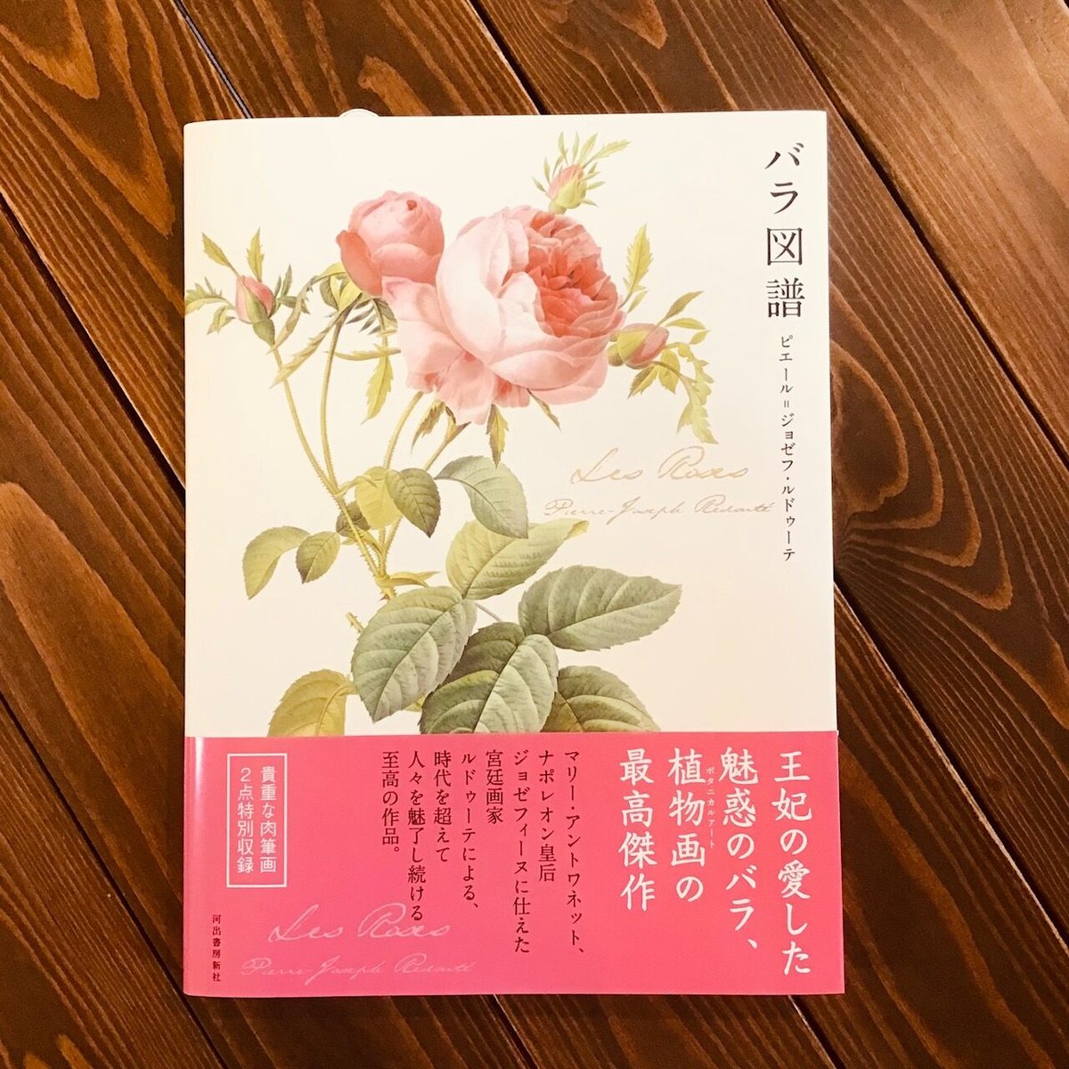 新品 豪華愛蔵版 Les Roses バラ図譜 ピエール=ジョゼフ・ルドゥーテ - 本