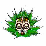 Agave store Sankyo