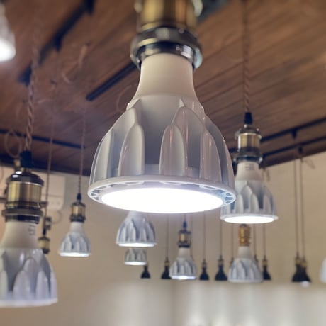 広角レンズ付きHelios Green LED HG24  'White'
