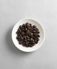 ブラジル　100g