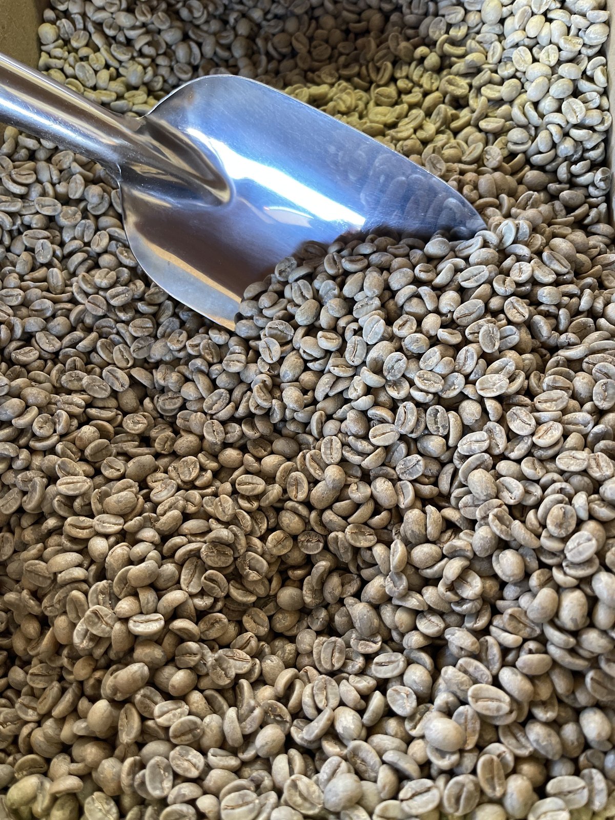 プレミアム）送料無料 エクアドル アンデスマウンテン 200g | BIKOU