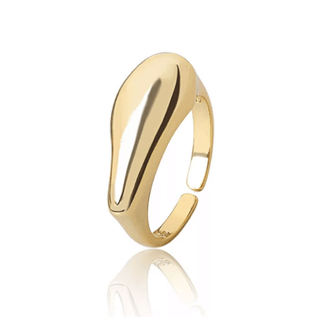 Ring  シルバー925 #61