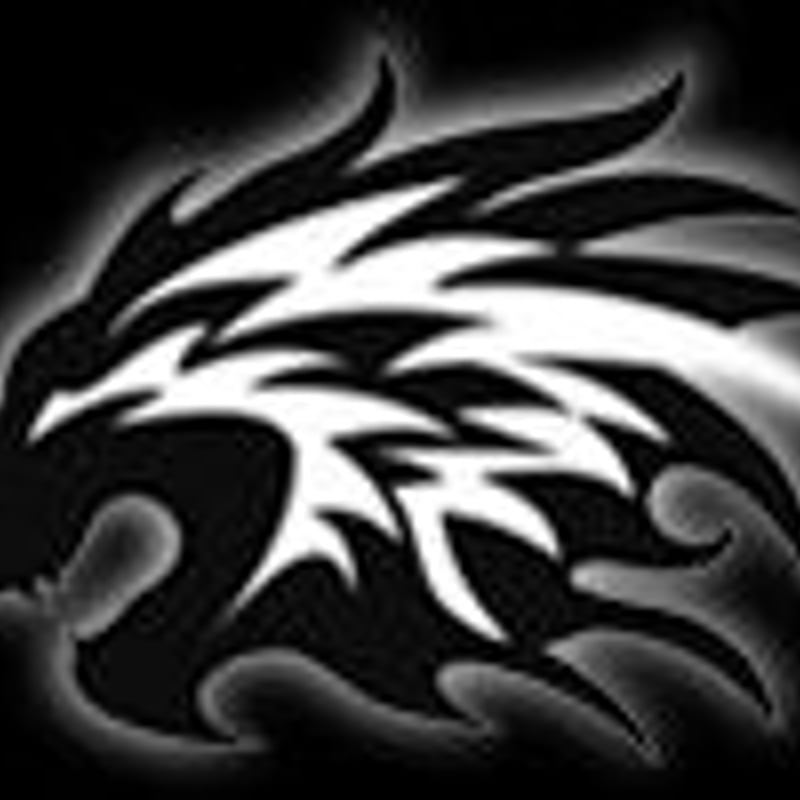 エミリッドバハマ EB-901 6本セット エミリッドバハマ EB-901 アイアン【＃5〜P】6本セット N.S.PRO 950GH H