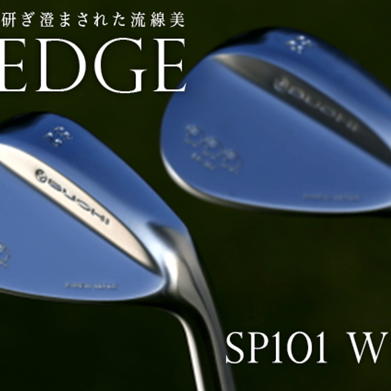 ブチ BUCHI SP101 ウェッジ トゥルーテンパー ダイナミックゴールド 