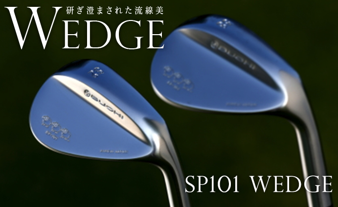 ブチ BUCHI SP101 ウェッジ トゥルーテンパー ダイナミックゴールド  