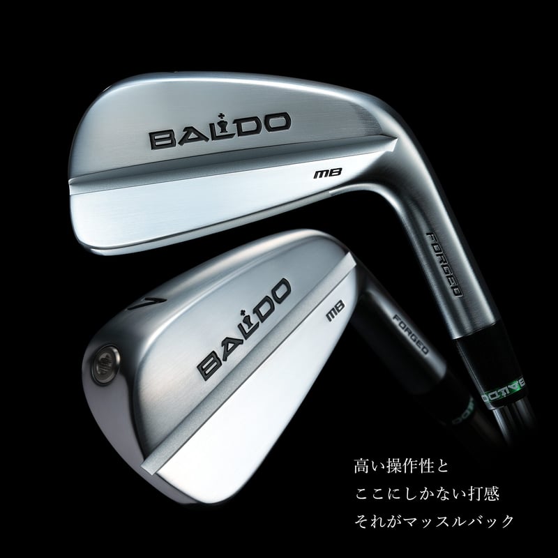 BALDO アイアンセット 6本 5-P ダイナミックゴールド120 R300 【公式通販】