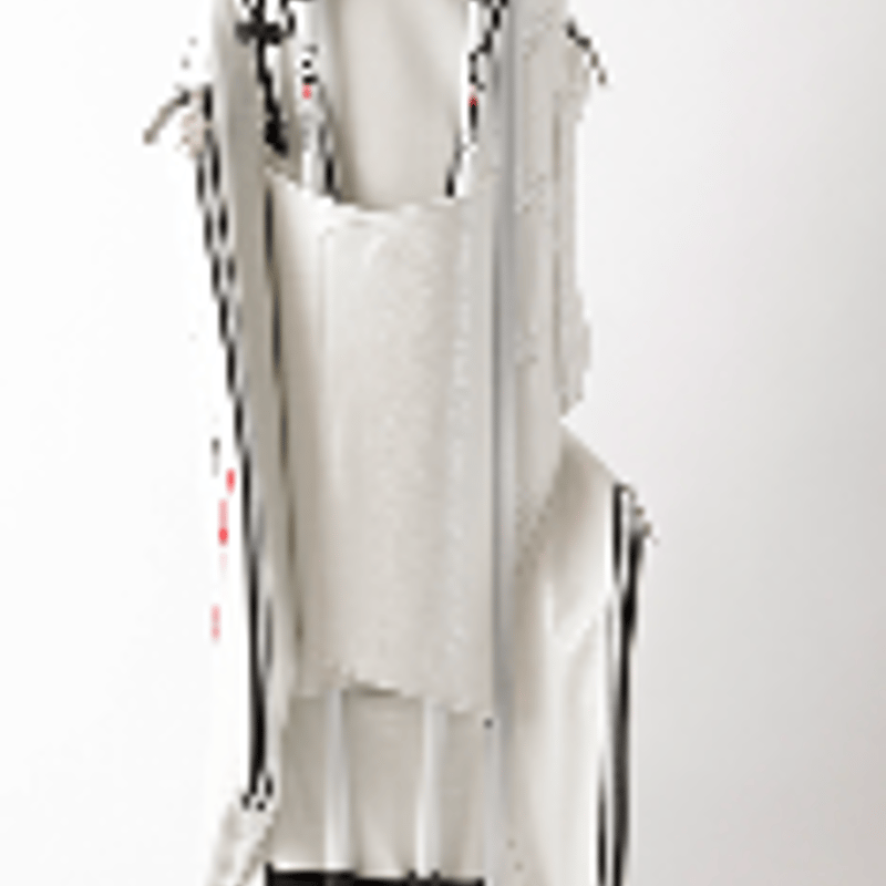 ワオ Waoww スタンドキャディバッグ カラー：ホワイト×ブラック