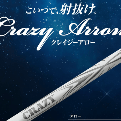 スタジオデザイン1 極美品 超激レア ヘッドカバー付き グリーンフォーク付き ゼクシオ トライアングルヘッドティ GGF-06133 | ダンロップ