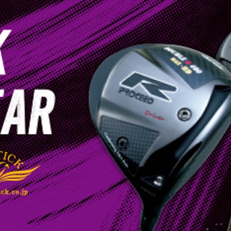 ジャスティック　R　プレミアム　E　アイアン【＃7〜AW】5本セット　N.S.PRO　モーダス3　 TOUR 105　アイアン用シャフト付