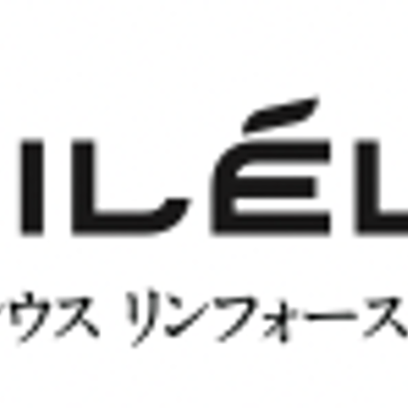 バシレウス　Basileus　ビーアールアイ　BRi　アイアン用シャフト【＃6〜PW】5本セット